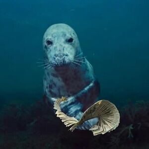 Idk how to delete help